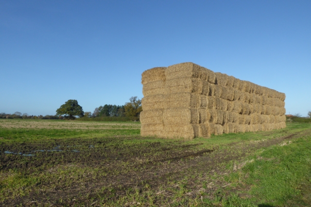 Stack of bales