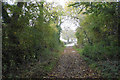 Track near Sarsden Halt