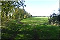 Farm track north of Kelfield