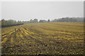 Farmland below Kingham Hill