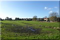 Muddy green and Stillingfleet Beck