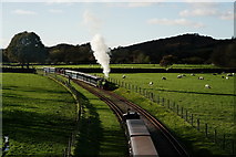 SD1399 : Autumn at Irton Road by Peter Trimming