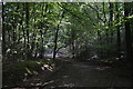 Bridleway, Downley Common