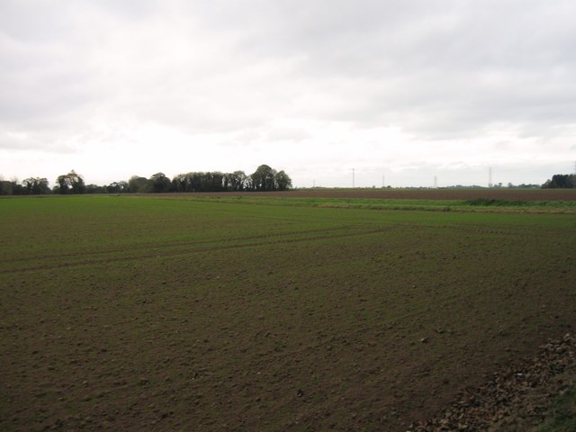 Newly planted field