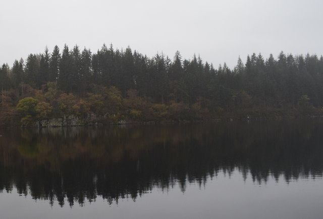 Forest across Loch Ard.
