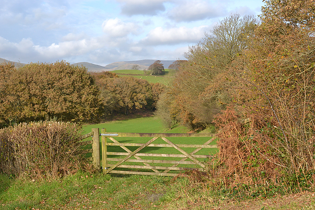 Gate and fields near Penmaen Bach