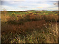 Scrubland above Blue Bank