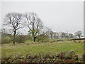 Fields east of Hallas Cote Farm