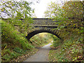 Footbridge over disused railway line