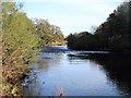 The Tees between High and Low Coniscliffe