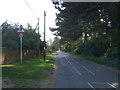 TF6838 : Ringstead Road, Heacham by JThomas