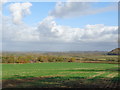 Across the fields to Whitsunbrook Farm