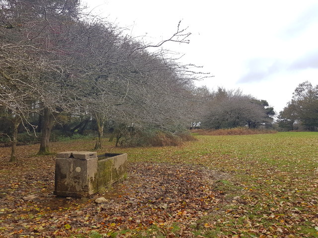 A drinking trough on the edge of Roborough Down