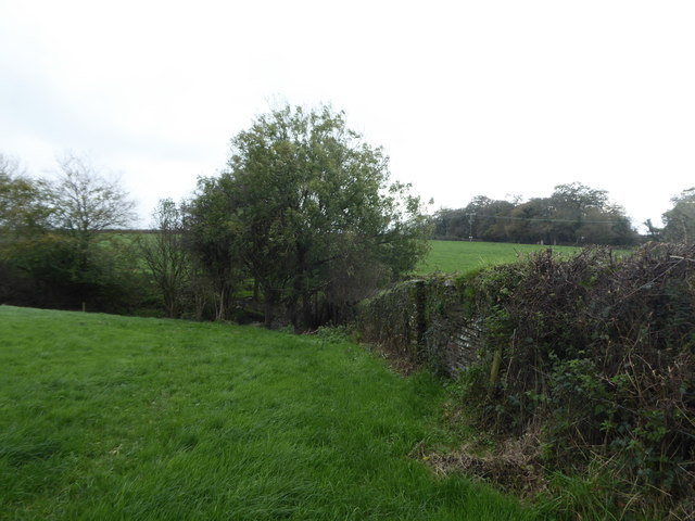 Boundary wall to a field by Crapstone House