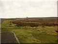SE8598 : Looking West across Goathland Moor by David Dixon