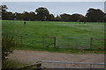 Purbeck : Grassy Field