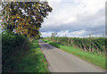 Langar Lane towards Langar