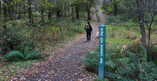 The Ben Lomond hill path.