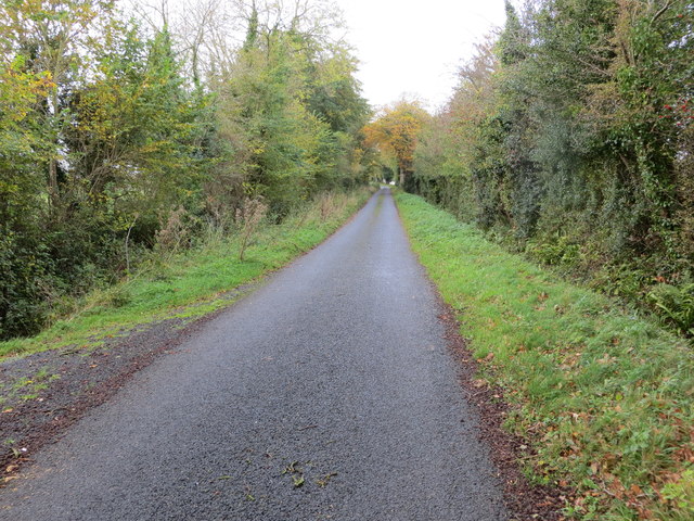 Road between Ballymorris (Bansha) and Tankerstown