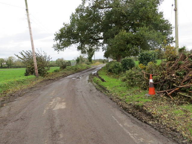 Road between Clonmaine and Ballinard (Donaskeigh)