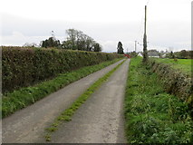 R9739 : Road between Ballinard (Donaskeigh) and Clonmaine by Peter Wood