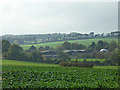 Winkland Oaks Farm