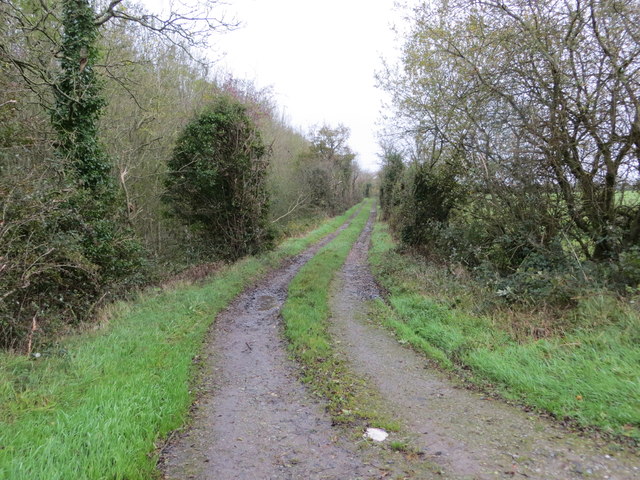 Track beside woodland heading away from road (L1513)
