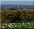 View north across the Vale of Belvoir