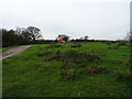 Farm on the edge of Welsh Moor