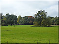 Field west of Church Road, Betteshanger