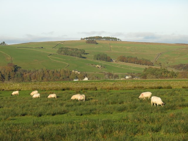Rough pastures southwest of Pry Hill