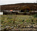 Site of the demolished former Williamstown Primary School, Williamstown