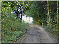 Bridleway towards Studdal