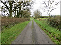 R6827 : Road from Cush to Balline (Martinstown) by Peter Wood