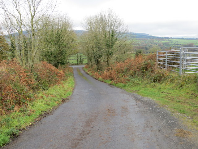 Road from Coolfree approaching the R512