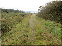R6514 : Forest track near Glenanair by Peter Wood