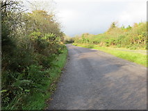 R6513 : Road (L1239) towards Glenanaar (Ardpatrick) by Peter Wood