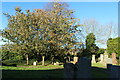 Craigie Symington Parish Church Graveyard