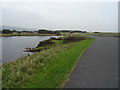 Outfall structure and pool