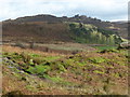 Ramshaw Rocks from the southern end of The Roaches