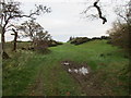 Grass field near Orchard