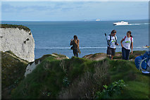 SZ0582 : Purbeck : Old Harry Rocks by Lewis Clarke