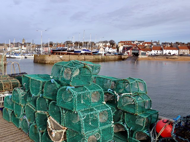 Lobster pots on the west pier