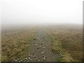 NY4609 : Climbing towards the top of Harter Fell by Graham Robson