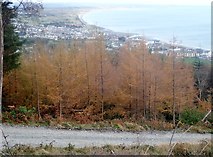 J3630 : The town of Newcastle from Donard Wood by Eric Jones