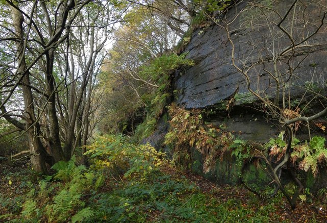 Cliffs at Brucehill