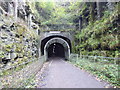 SK1871 : The eastern entrance to Headstone Tunnel by Marathon