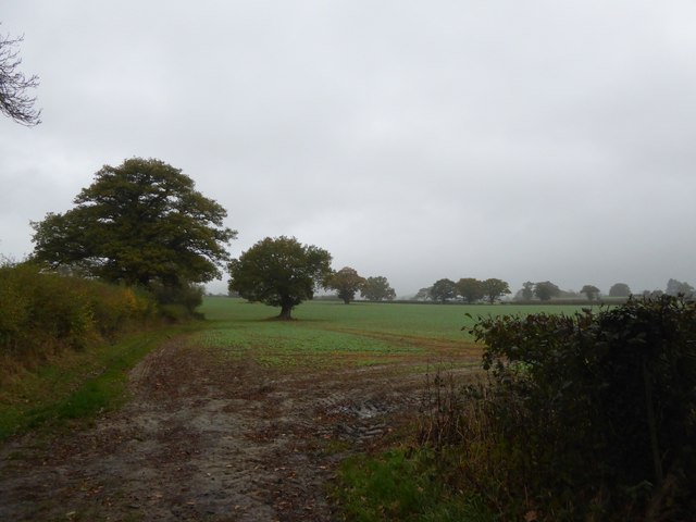 Field between Letton and Walford