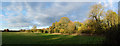 Autumn panorama