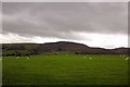 View towards Moel Famau